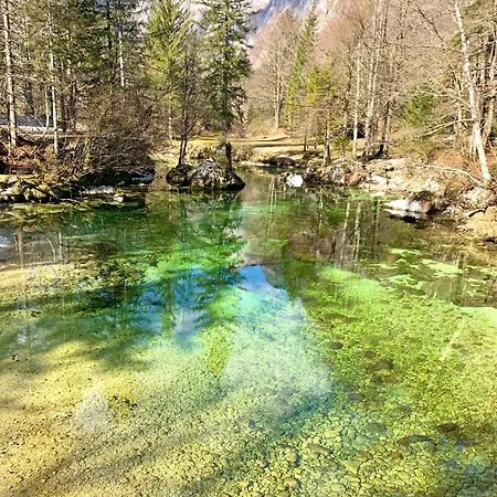 Apartmán Bb Bohinj