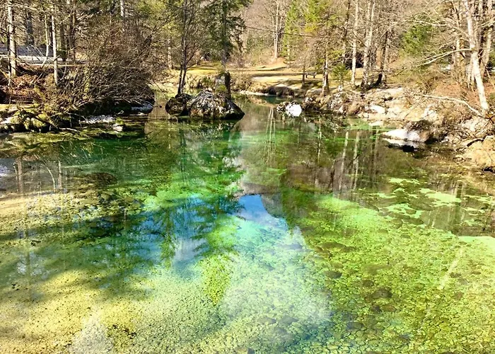 Διαμέρισμα Bb Bohinj